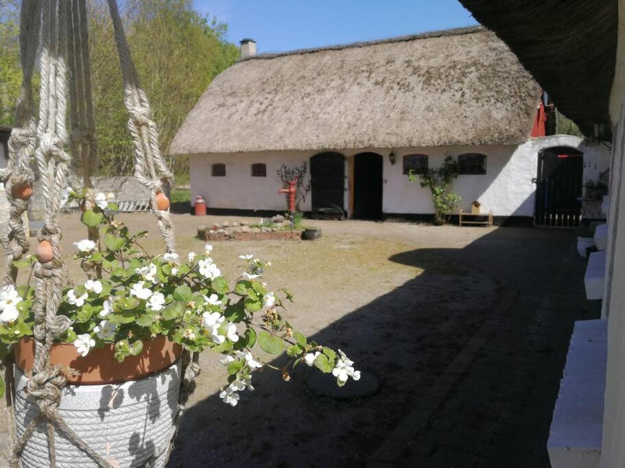 里伯 Gemuetliches Reetdachhaus Mit Kaminofen旅舍 外观 照片