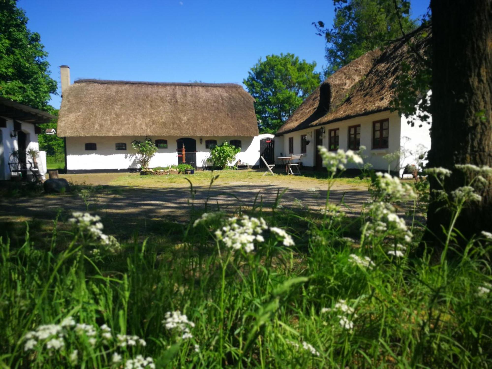 里伯 Gemuetliches Reetdachhaus Mit Kaminofen旅舍 外观 照片
